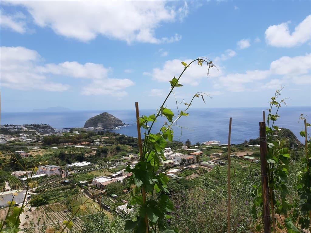 Ischia s pobytom pri mori a v termálnych kúpeľoch