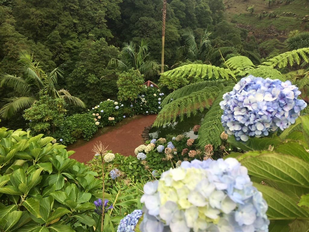 Príroda na ostrove Sao Miguel