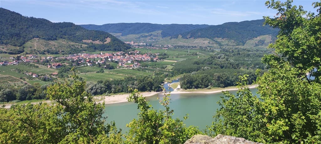 Vínna plavba