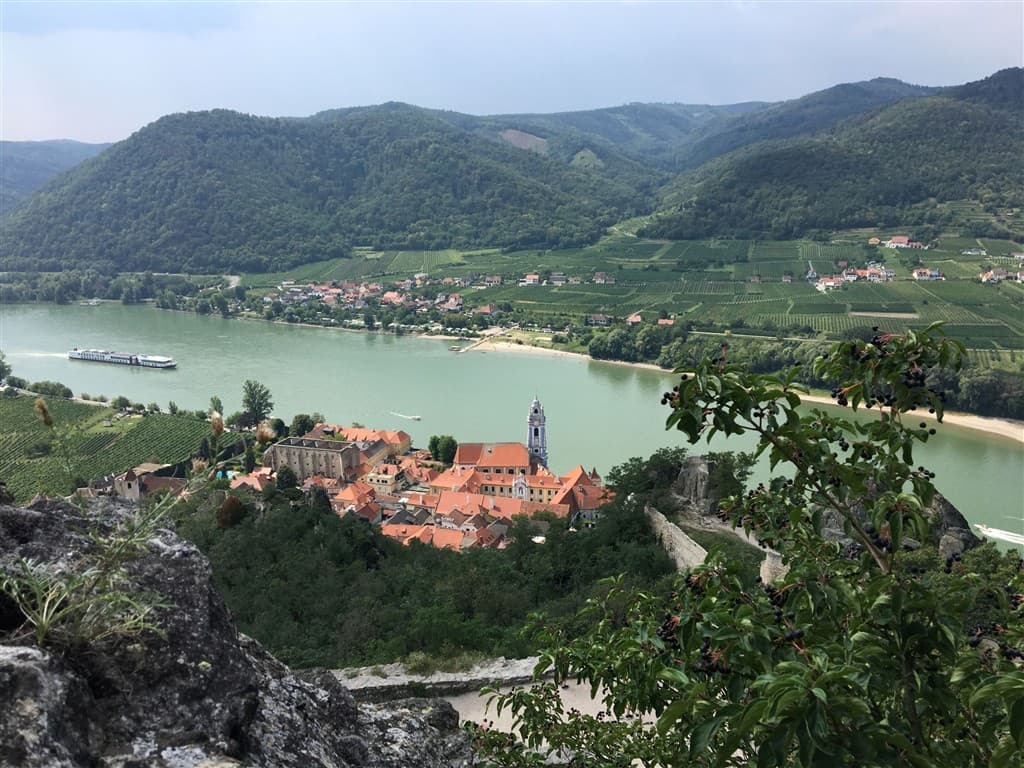 Vínna plavba