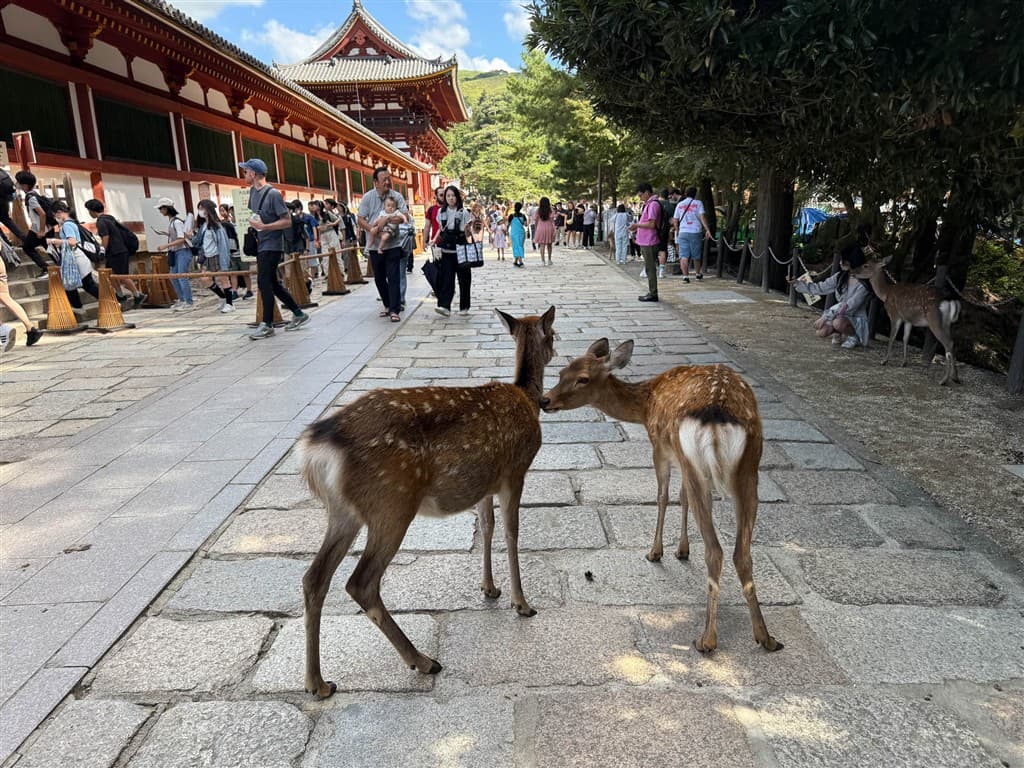 Japonsko