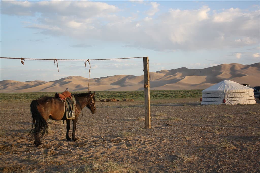 Mongolsko