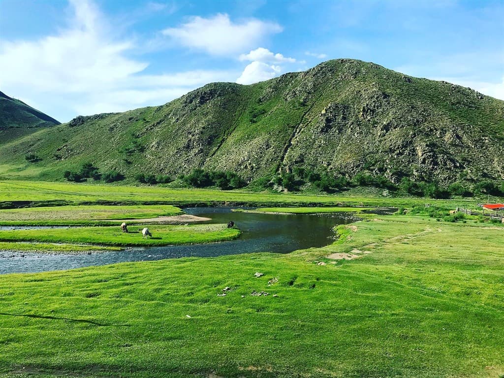 Mongolsko