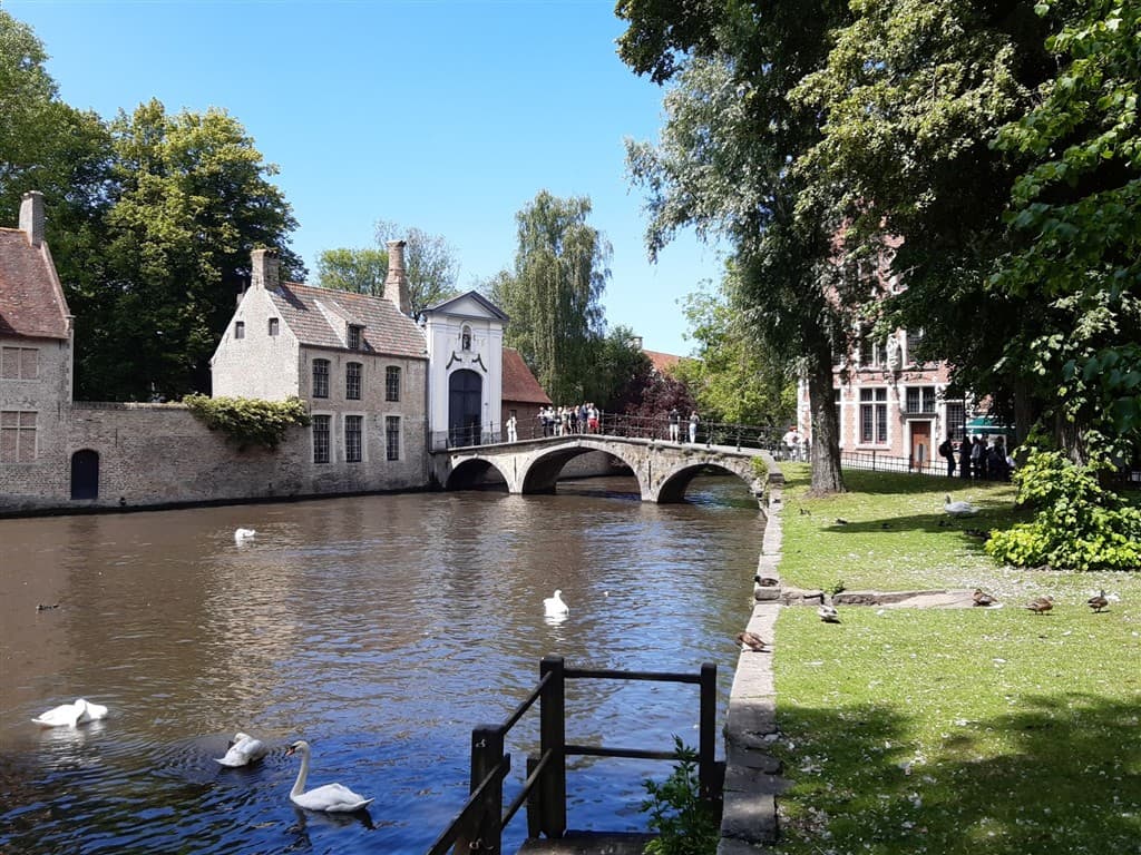 Belgicko
