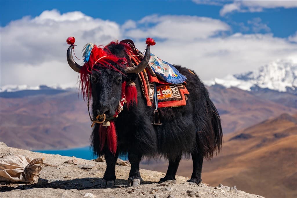 Čína, Tibet, Nepál