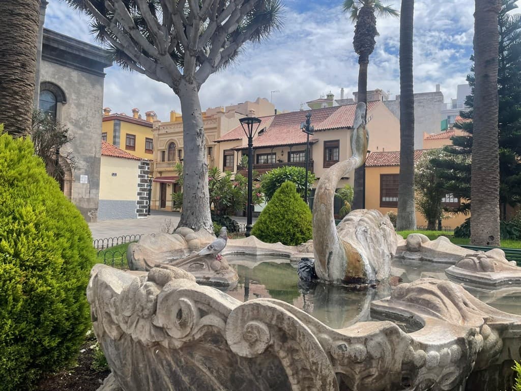 To najlepšie z Tenerife - zelený sever a slnečný juh