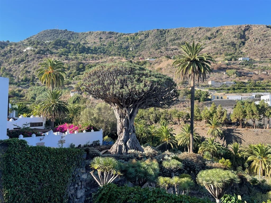 To najlepšie z Tenerife - zelený sever a slnečný juh
