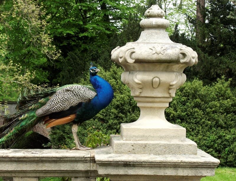 Klenoty moravského Slovácka, poznávací zájazd