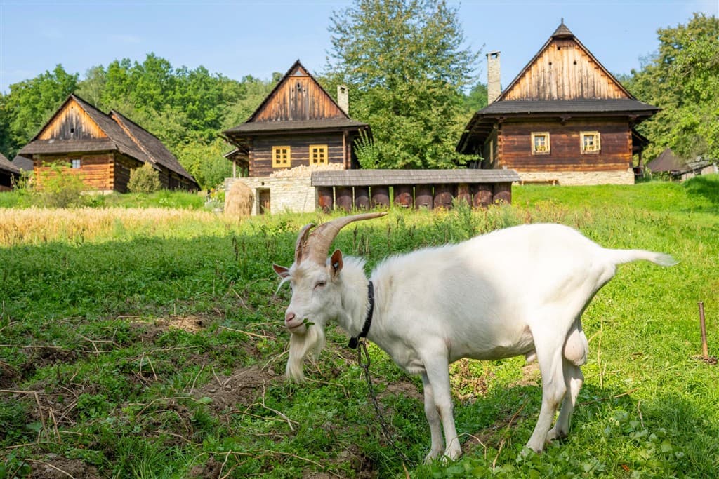 Valašsko - kraj pokoja a tradícií