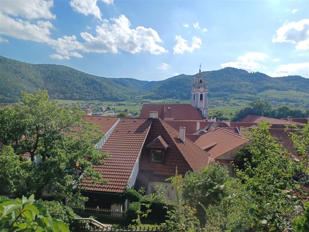 Marhuľové slávnosti