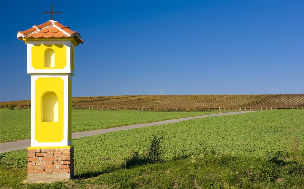 Valtice a Mikulov, poznávací zájazd