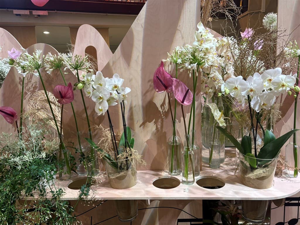 Flora Olomouc, poznávací zájazd, orchidea
