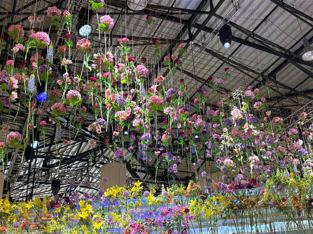 Flora Olomouc, poznávací zájazd