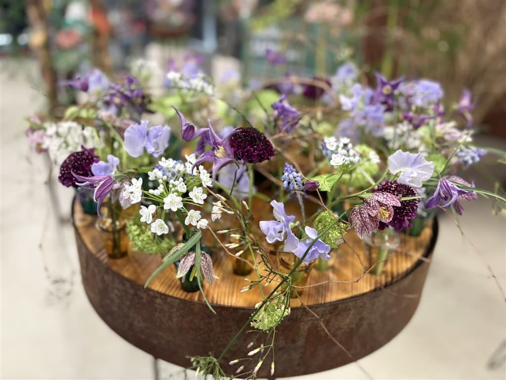 Flora Olomouc, poznávací zájazd