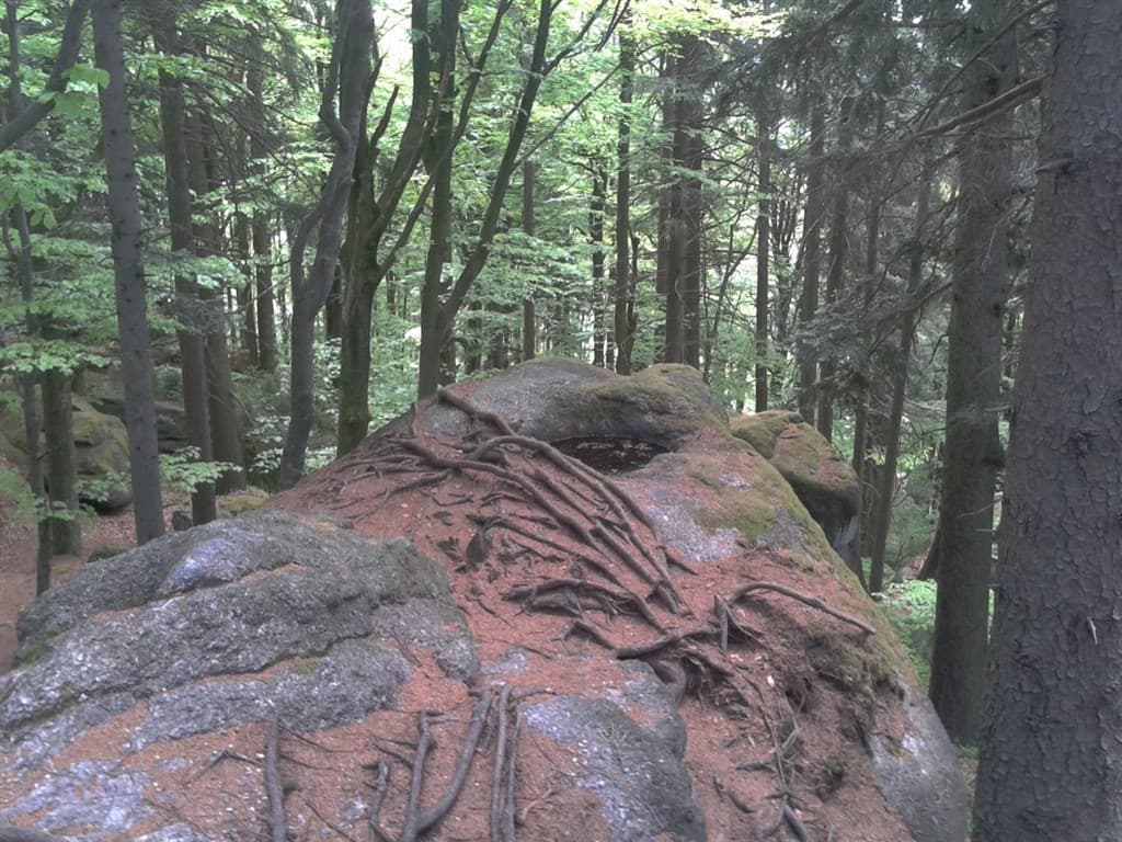 Prírodný park Myrafälle, poznávací zájazd