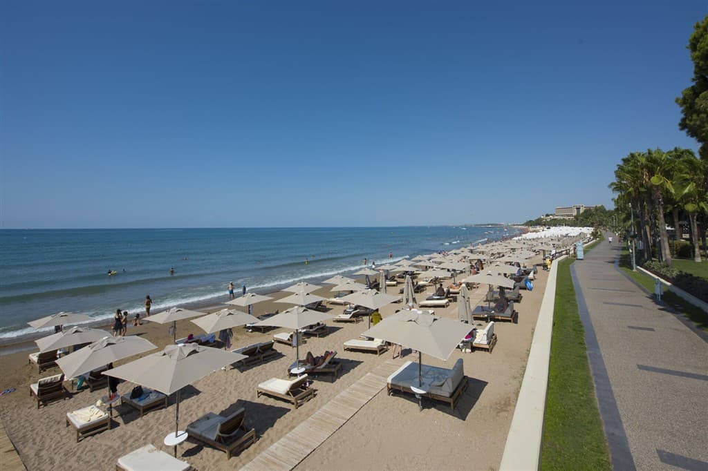 Acanthus Cennet Barut Collection