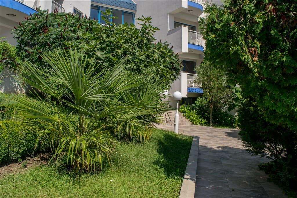 Sineva Park