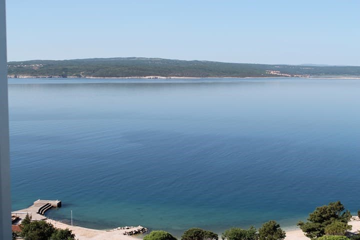 Omorika