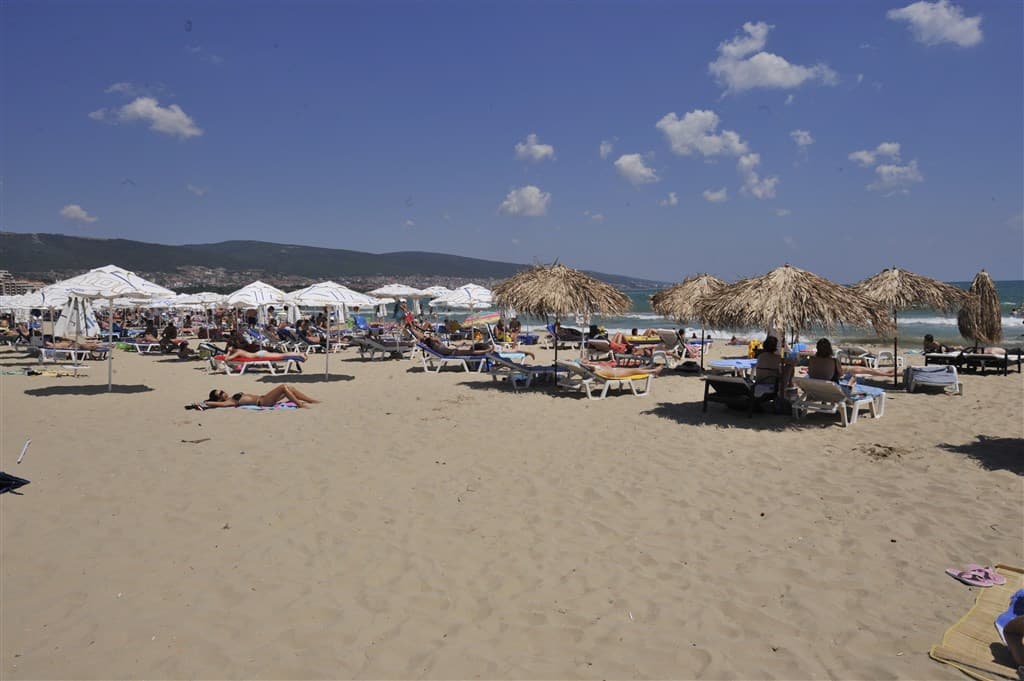Flamingo Beach