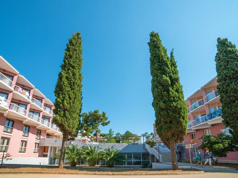 Centinera