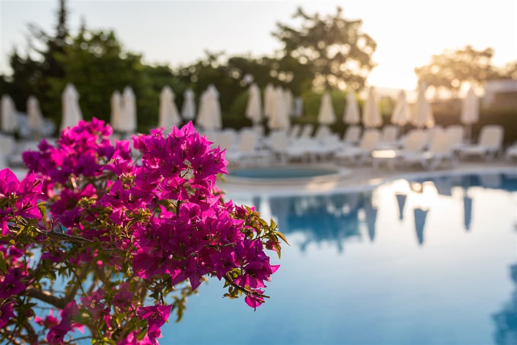 Sentido Neptun Beach