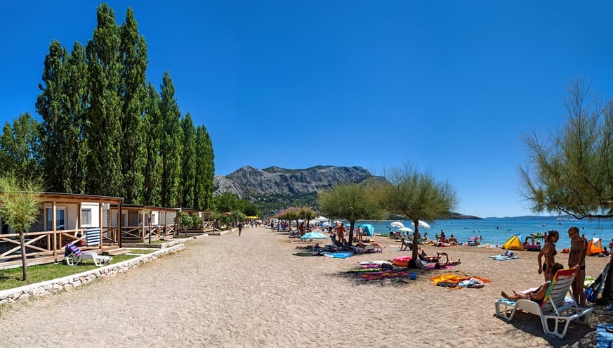 Galeb