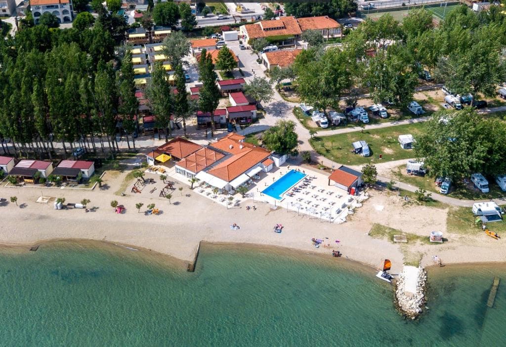 Galeb