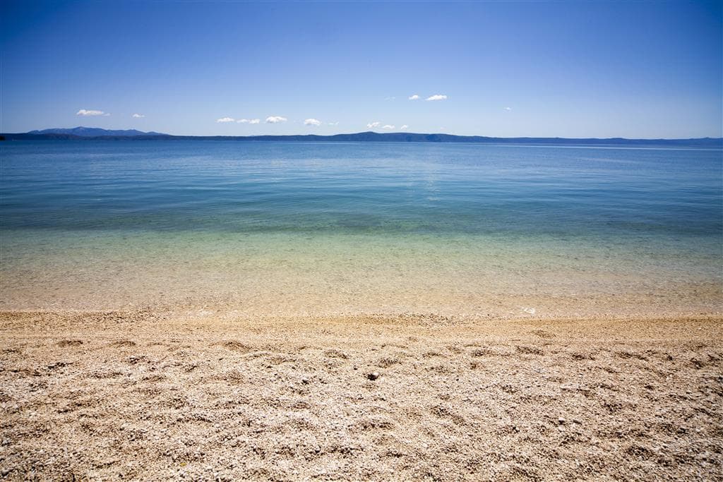 Bluesun Alga