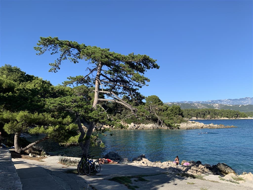 Valamar Carolina Hotel & Villas