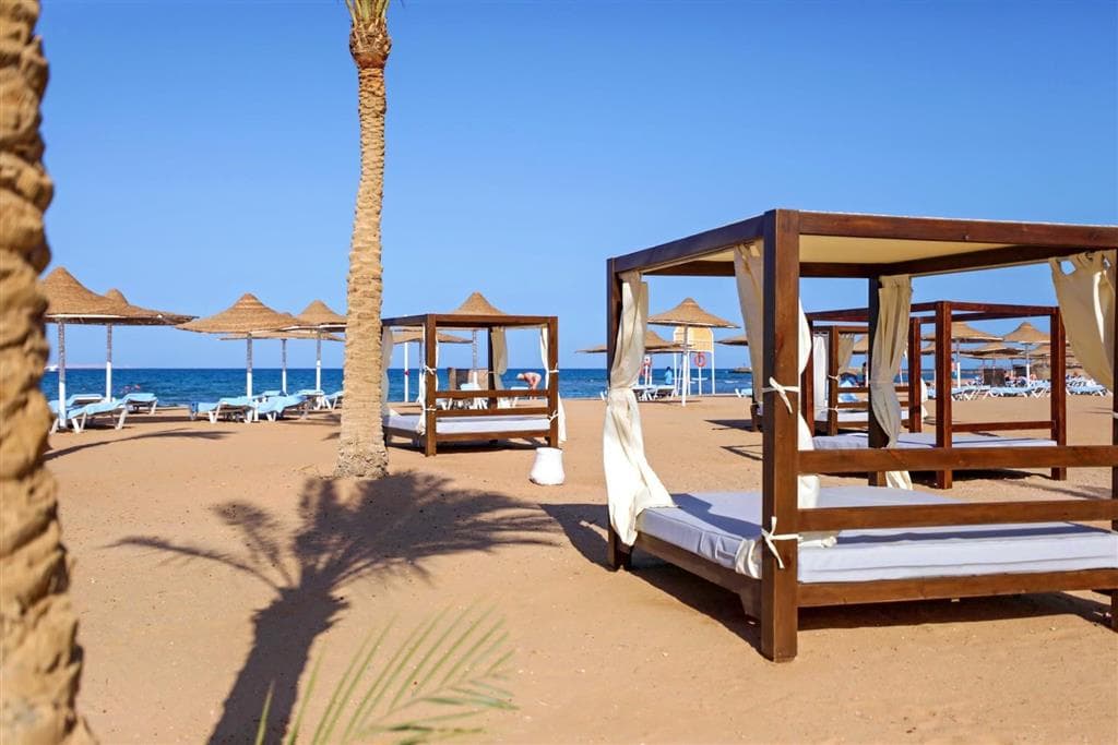 Calimera Blend Paradise