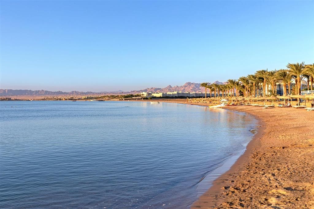 Palm Royale Soma Bay