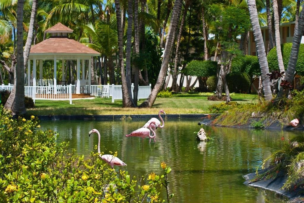 Catalonia Bavaro Beach & Golf Resort