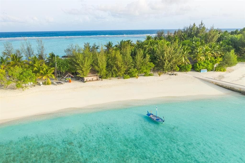 Summer Island