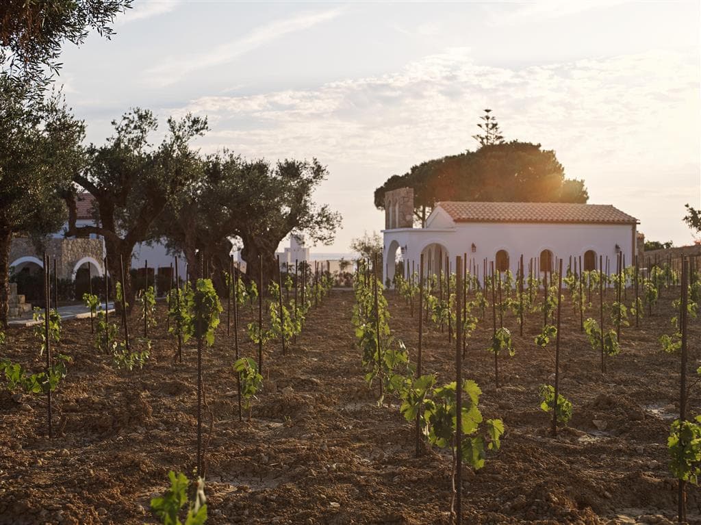 Lesante Cape Resort &  Villas