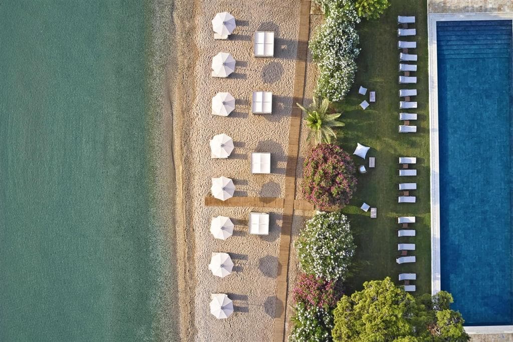 The Olivar Suites