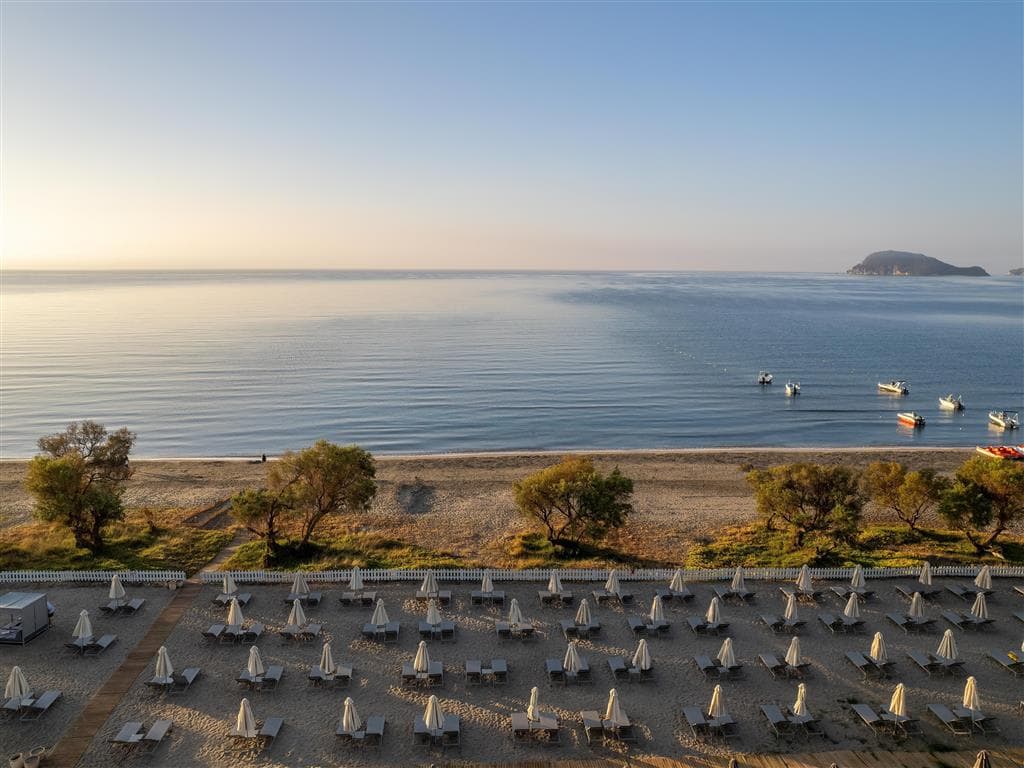 Domes Aulus Zante, Autograph Collection