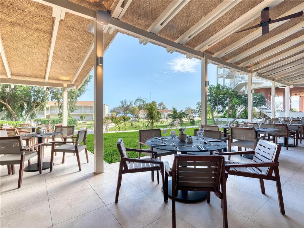 Domes Aulus Zante, Autograph Collection
