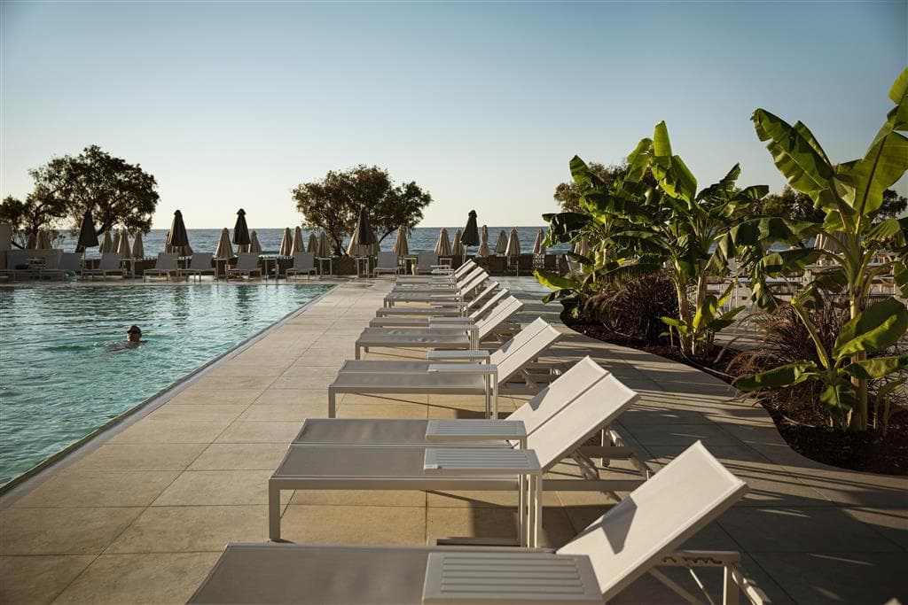 Domes Aulus Zante, Autograph Collection