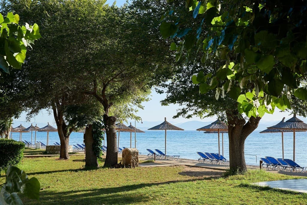 Delfinia