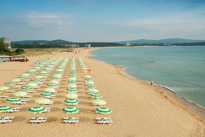 Forest Beach