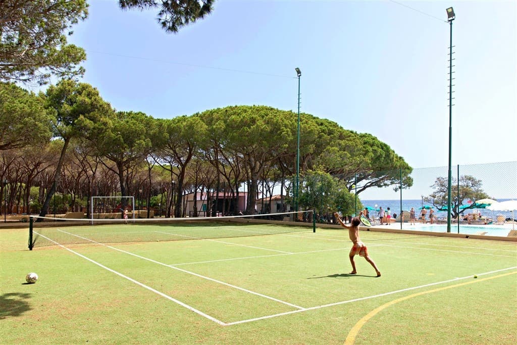 Tenis