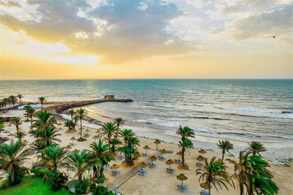 Palm Azur
