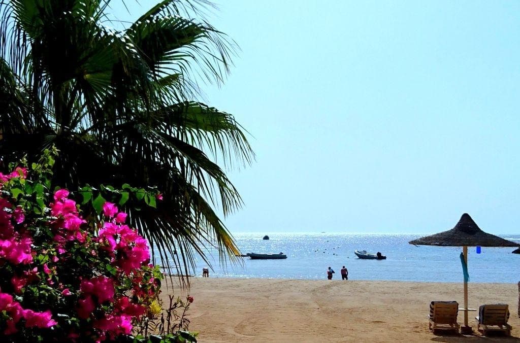Brayka Bay Reef (Mango klub)