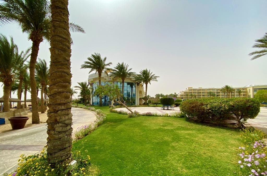 Palm Royale Soma Bay