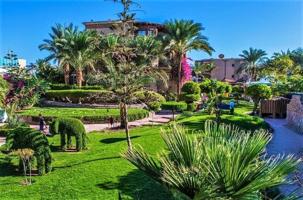 Seagull Resort