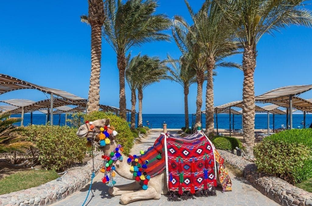 Sphinx Resort