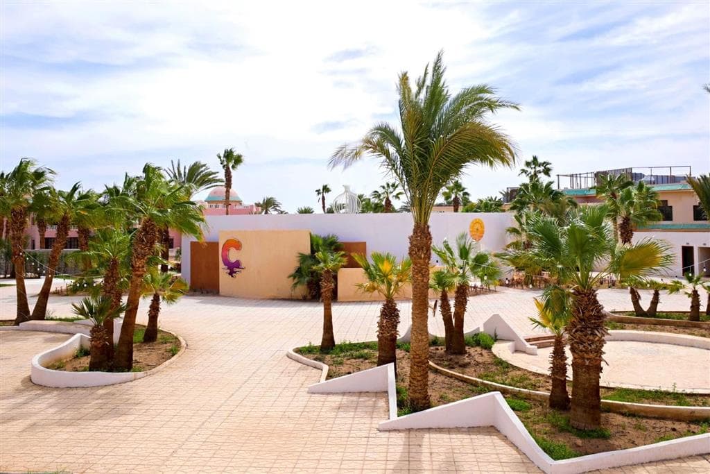 Calimera Blend Paradise