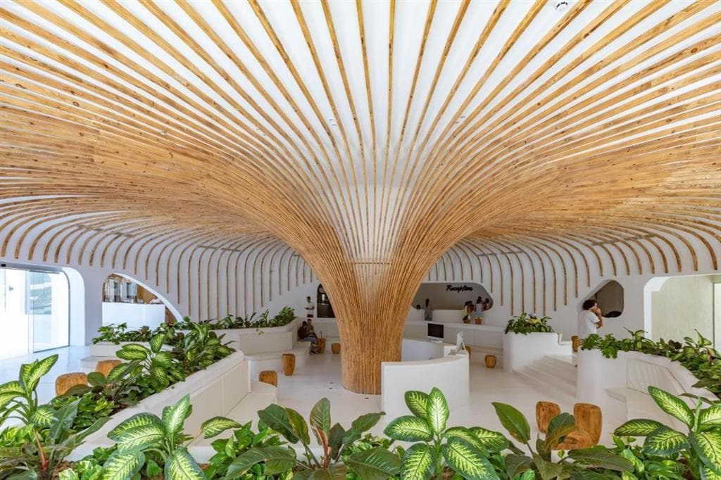 Meraki Resort