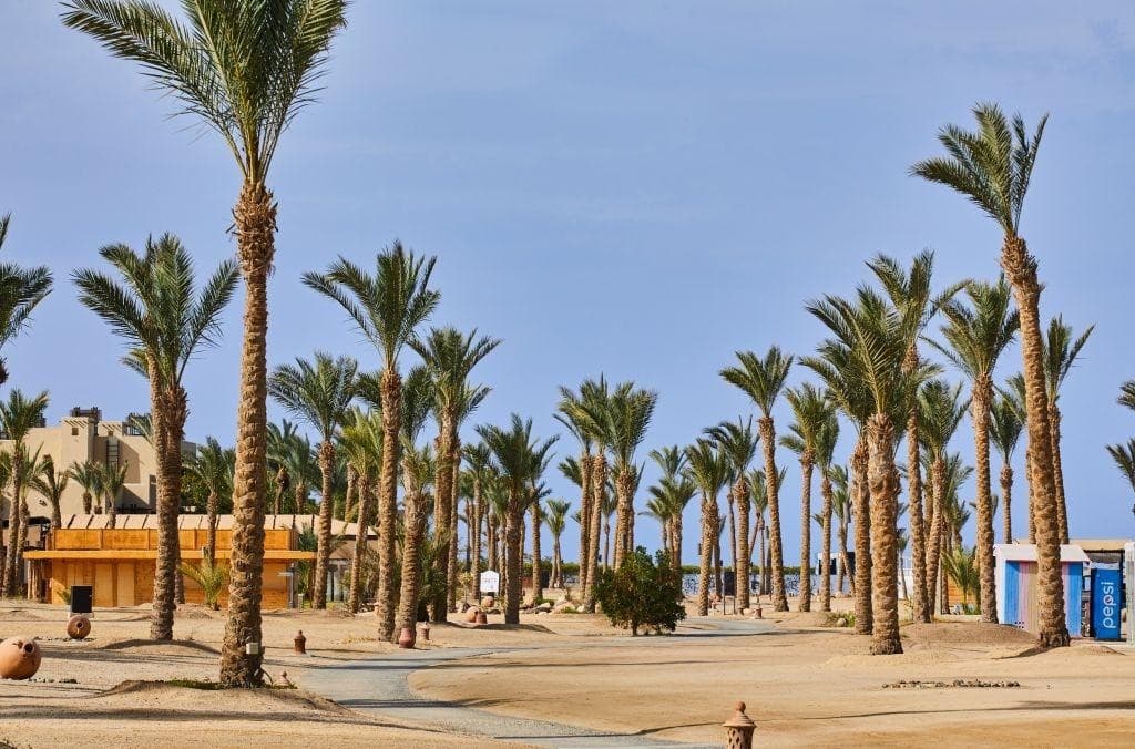 Pickalbatros Palace Port Ghalib