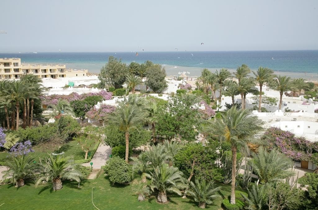 Shams Safaga
